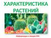 Характеристика растений. Информация к лекции №6