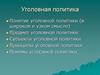 Уголовная политика