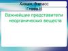 Важнейшие представители неорганических веществ  (8 класс)