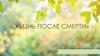 Жизнь после смерти