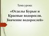 Отделы Бурые и Красные водоросли. Значение водорослей