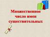 Множественное число имен существительных