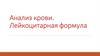 Анализ крови. Лейкоцитарная формула