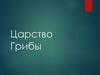 Царство Грибы