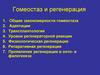 Гомеостаз и регенерация