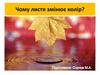 Чому листя змінює колір?