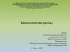 Биологические ритмы
