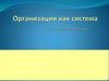 Организация как система