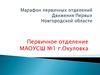 Марафон первичных отделений Движения Первых Новгородской области