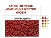 Эритроциты. Качественные изменения клеток крови
