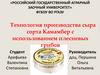 Технология производства сыра сорта Камамбер с использованием плесневых грибов
