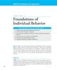 Foundations of Individual Behavior