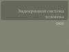 Эндокринная система