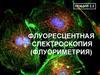 Флуоресцентная спектроскопия (флуориметрия)