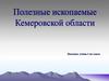 Ископаемые Кемеровской области. Уголь