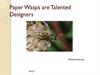 Paper Wasps are Talented Designers