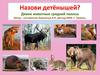 Назови детёнышей? Дикие животные средней полосы