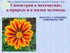 Симметрия в математике, в природе и в жизни человека. Красота, гармония, совершенство
