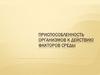Приспособленность организмов к действию факторов среды. 9 класс