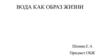 Вода как образ жизни