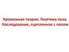 Хромомная теория. Генетика пола. Наследование, сцепленное с полом