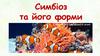 Симбіоз та його форми. Риби-клоуни (амфіпріони) та актинії