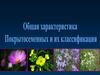 Общая характеристика Покрытосеменных и их классификация