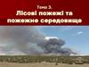 Лісові пожежі та пожежне середовище