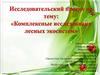 Комплексные исследования лесных экосистем
