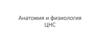 Анатомия и физиология ЦНС