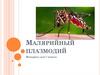 Малярийный плазмодий