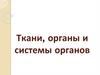 Ткани, органы и системы органов
