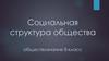 Социальная структура общества