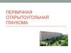 Первичная открытоугольная глаукома