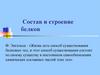 Состав и строение белков