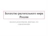 Богатство растительного и животного мира