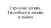 Строение легких. Газообмен в легких и тканях