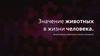 Значение животных в жизни человека