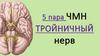 5 пара ЧМН - Тройничный нерв