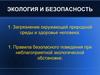 Экология и безопасность. Загрязнение окружающей природной среды и здоровье человека