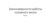Закономерности работы головного мозга. 8 класс
