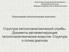 Структура патологоанатомической службы. Документы регламентирующие патологоанатомическое вскрытие. Структура и логика диагноза