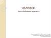 Человек. Урок обобщения в 5 классе