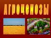 Агроценозы. Экосистемы