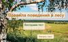 Викторина "Правила поведения в лесу"