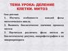 Деление клетки. Митоз. Особенности каждой фазы