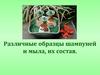 Различные образцы шампуней и мыла, их состав