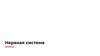Нервная система. Структурно-функциональная организация нервной системы