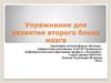Упражнения для развития второго блока мозга