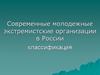 Современные молодежные экстремистские организации в России, классификация